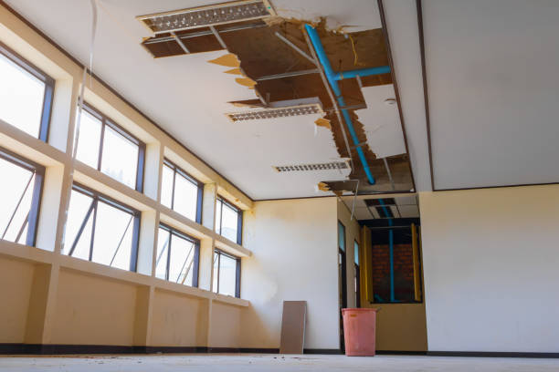 Best Water damage restoration cost  in Mequon, WI