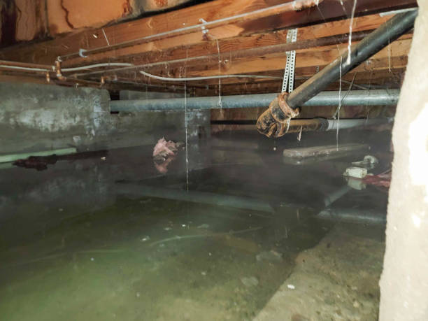 Best Water damage restoration insurance claims  in Mequon, WI