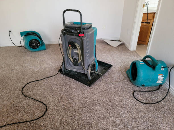 Best Commercial water damage restoration  in Mequon, WI