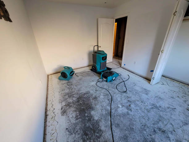 Best Water damage cleanup near me  in Mequon, WI