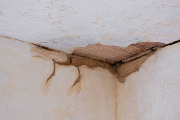 Best Water damage contractors near me  in Mequon, WI