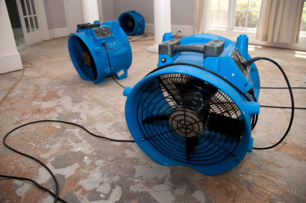 Best Flooded house restoration  in Mequon, WI