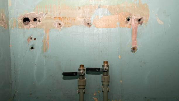 Best Flood restoration services  in Mequon, WI