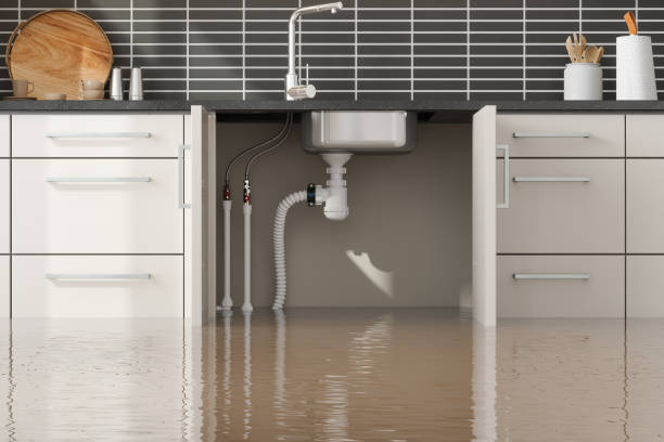 Best 24/7 water damage repair  in Mequon, WI